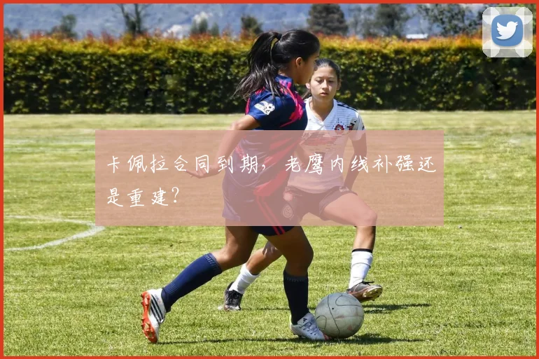 卡佩拉合同到期,老鹰内线补强还是重建?